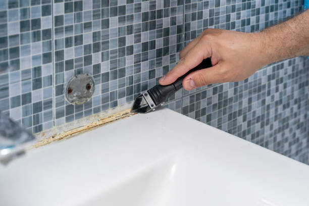 Best Certified Mold Removal  in Jamestown West, NY